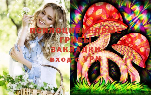 мескалин Переславль-Залесский