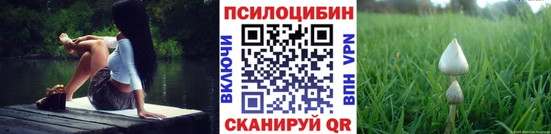 Галлюциногенные грибы мухоморы  MEGA маркетплейс  Нерчинск 